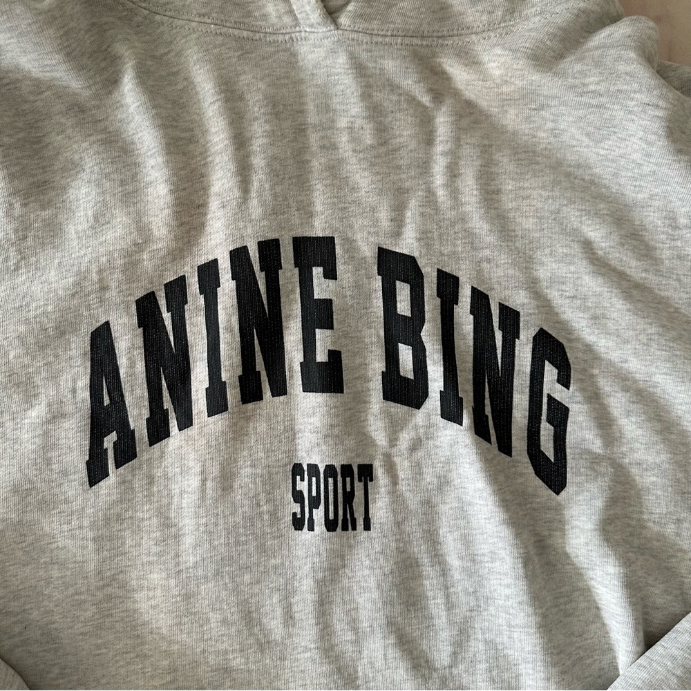 Anine Bing hoodie XL
